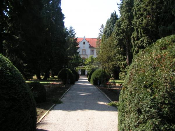 pict3645 (web)